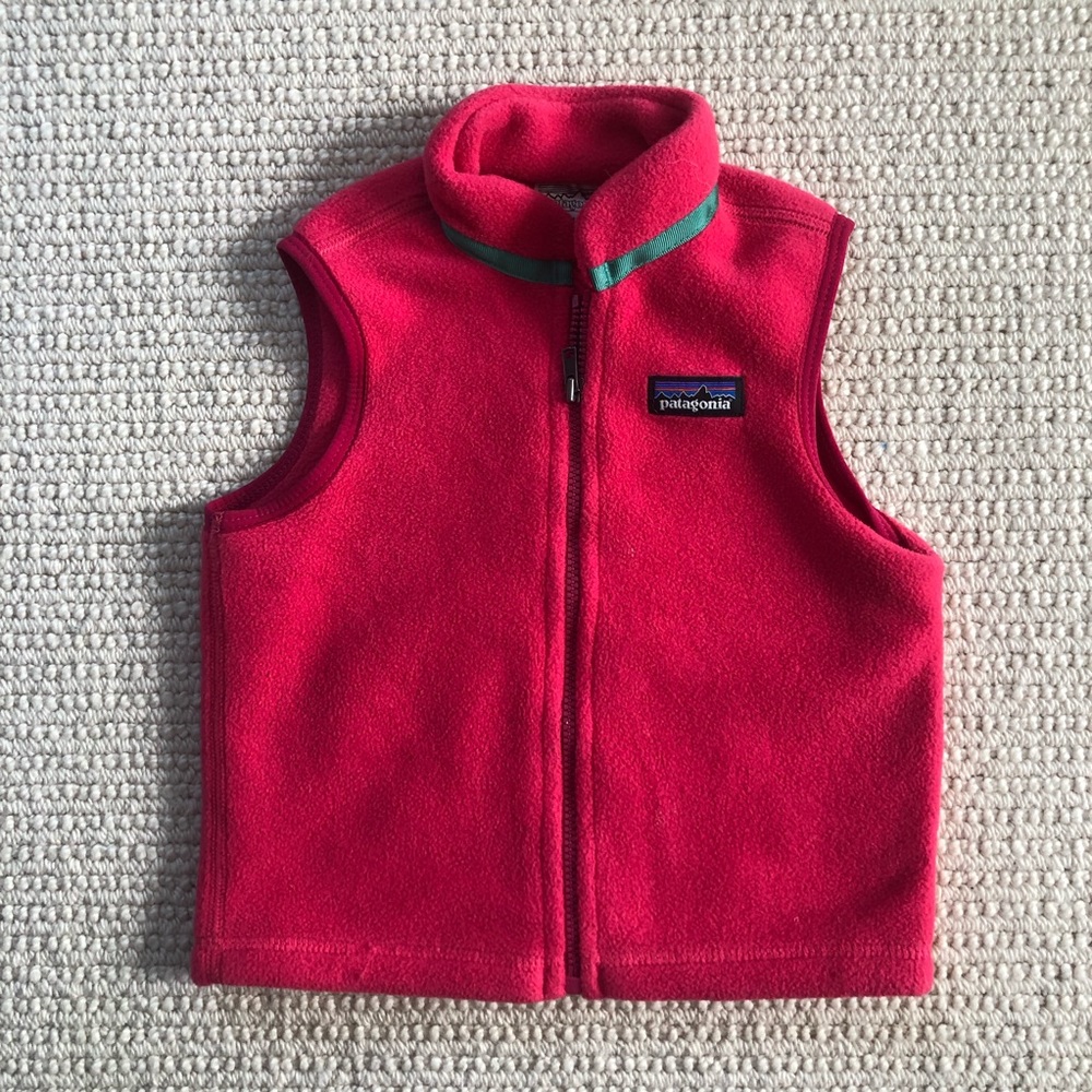 Patagonia Synchilla Fleece Vest